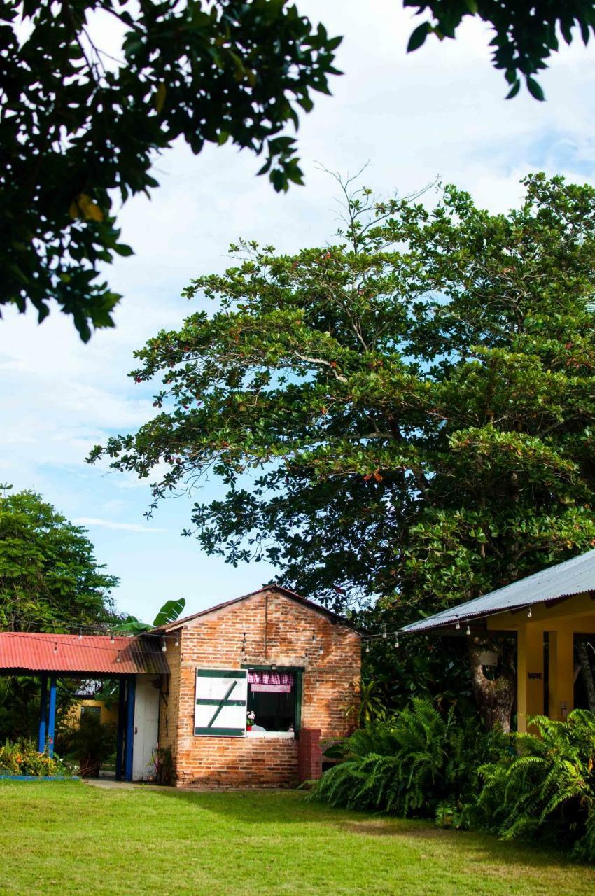 Bed and Breakfast Campito Loving Salvaleón de Higüey Esterno foto